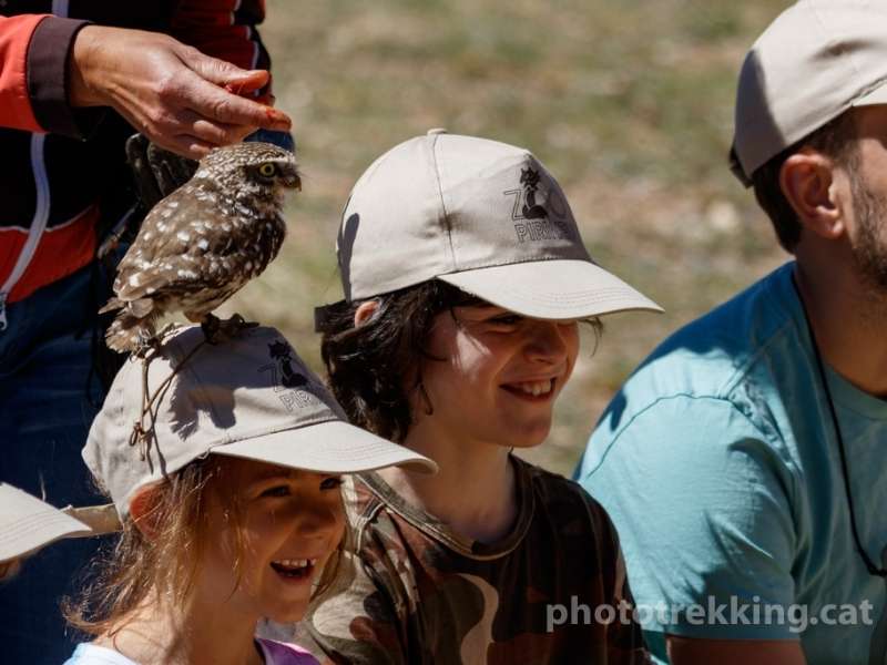 Experiències per regalar a nens interacció amb aus rapinyaires al zoo del pirineu