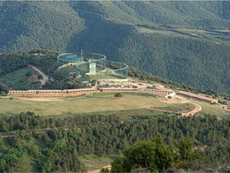 Falconcenterespana | zoo del pirineu