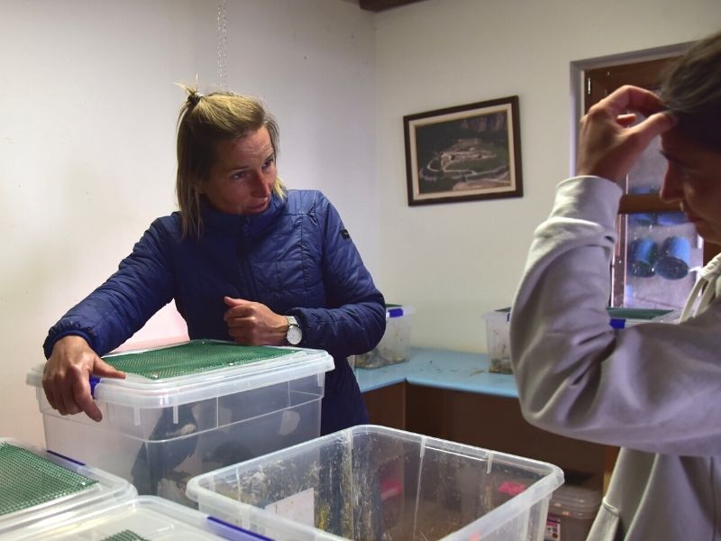 Stania coordina el centro de rescate