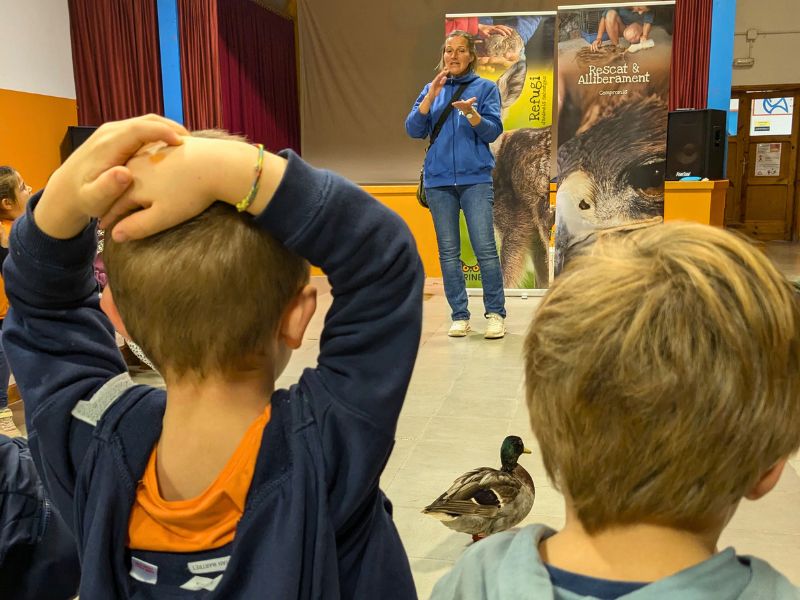 Educación ambiental | zoo del pirineu Tax relief and educating children