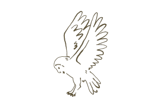 Buho aterizando | zoo del pirineu Escoja regalos para el padre