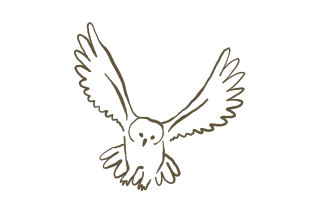 Buho volando | zoo del pirineu Guía como comprar regalos para el padre