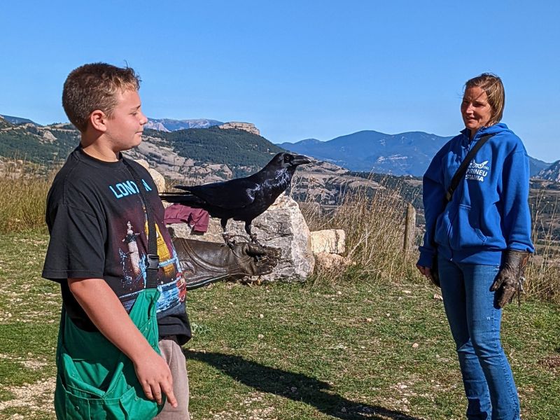 Adolescente vive una experiencia inolvidable con un cuervo salvaje Regalos para adolescentes que arrasan en redes