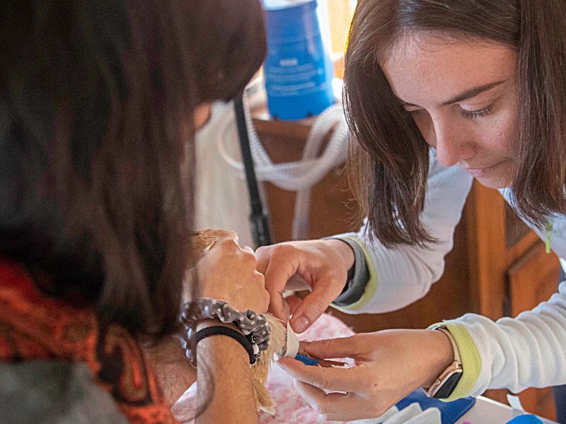 Veterinaria de fauna salvaje impartiendo cursos prácticos para veterinarios y auxiliares en el cuidado animal
