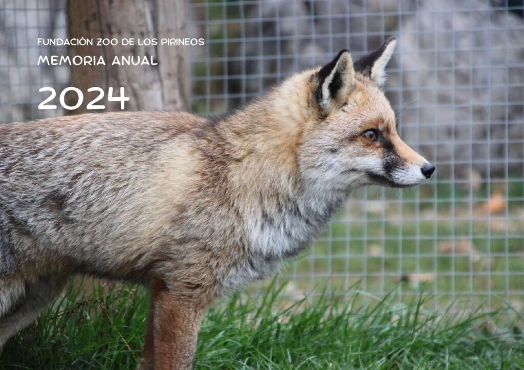 Espmemoriaactividades2024 | zoo del pirineu