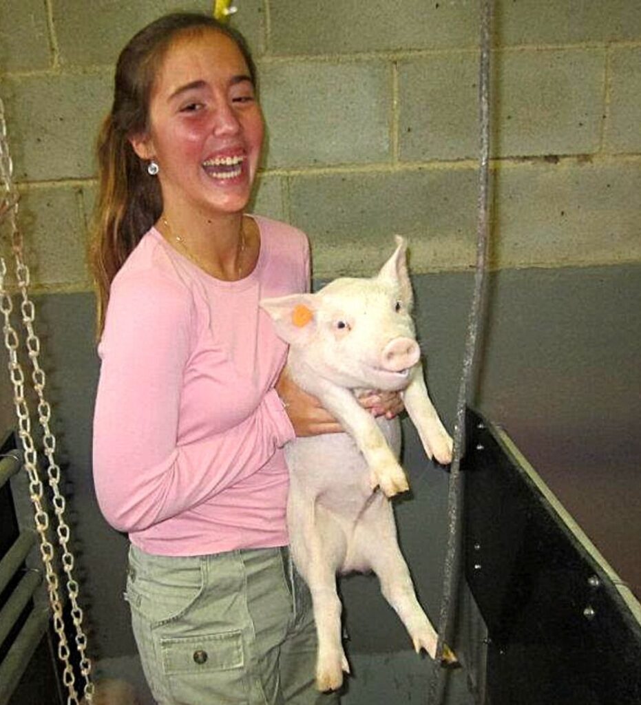 Laia sanchez sujetando un cerdito en brazos durante prácticas universitarias en una granja Formación inicial de una futura veterinaria de fauna salvaje