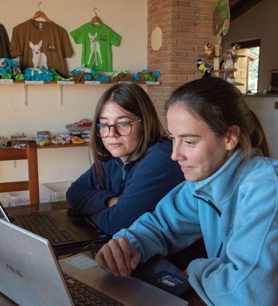 Veterinaria de fauna salvaje colaborando con practicantes en proyectos de conservación