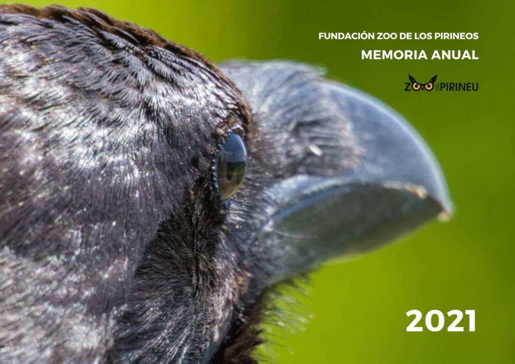 Memoriaactividades2021 | zoo del pirineu