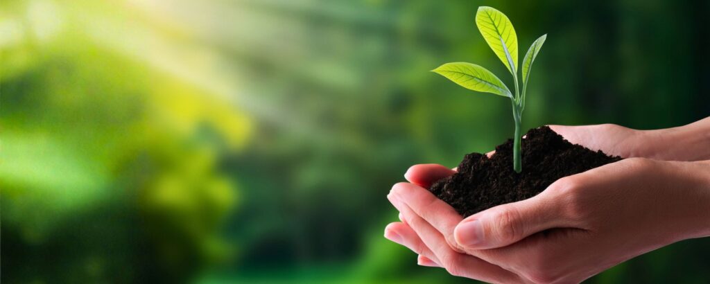 Regalar naturaleza | zoo del pirineu