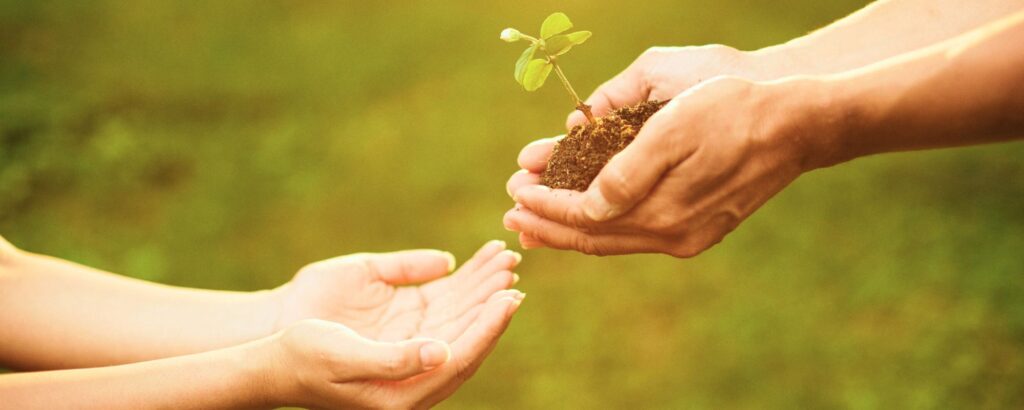 Regalos para ocaciones especiales | zoo del pirineu