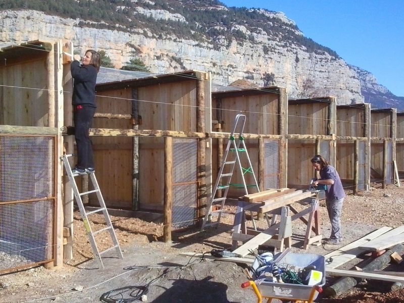 Construccion del centro de rescate | zoo del pirineu