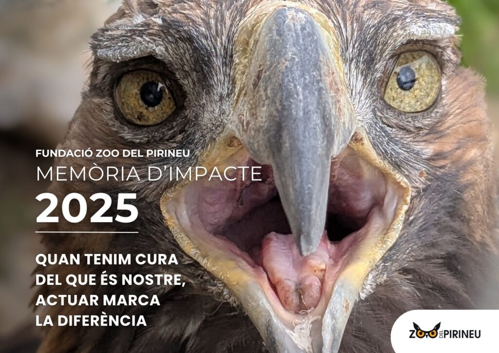 2025 cat memoria | zoo del pirineu