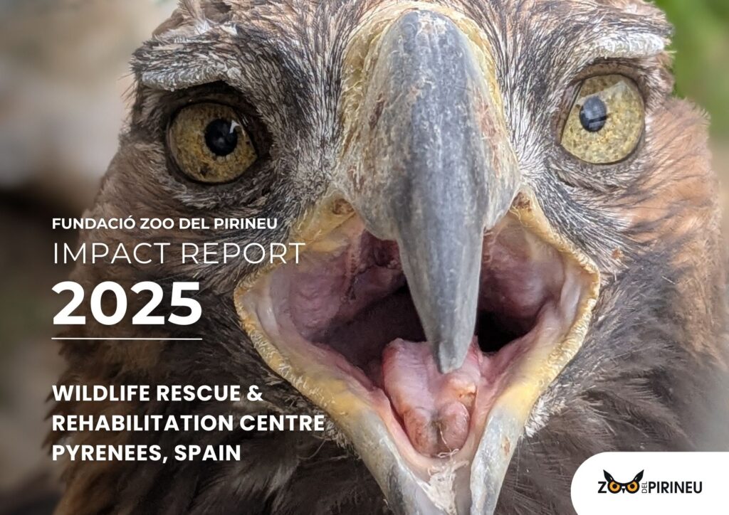 2025 eng memoria | zoo del pirineu