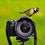 Curso de fotografía