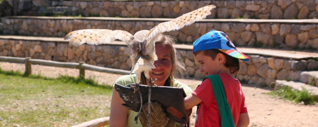 Sobre nosotros educadora del zoo del pirineu mostrando un ave rapaz a un niño durante una actividad de educación y protección de fauna salvaje en cataluña