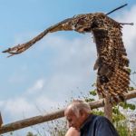 Exhibición de vuelo