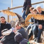 Exhibición de vuelo