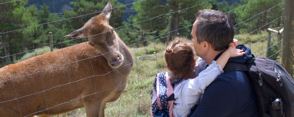 Día del padre en el zoo del pirineu padre con su hija pequeña observando un ciervo tras una valla en plena naturaleza experiencia familiar educativa y regalo original en los pirineos