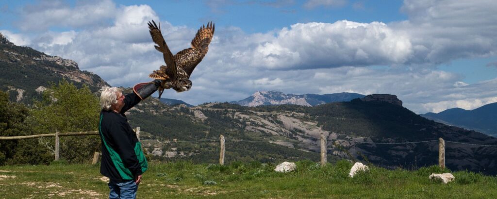 Día del padre en el zoo del pirineu cetrero sosteniendo un búho real en vuelo con paisaje de montaña pirenaica al fondo experiencia educativa y vínculo entre personas y fauna salvaje