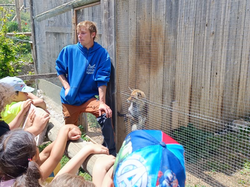 Visita guiada en refugio de animales | zoo del pirineu