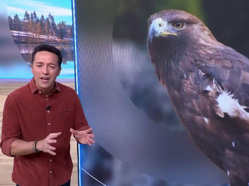 Aqui la terra zoo del pirineu | zoo del pirineu