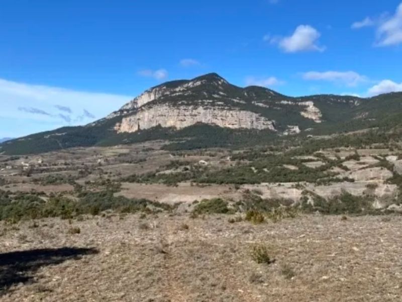 Solsonès | zoo del pirineu
